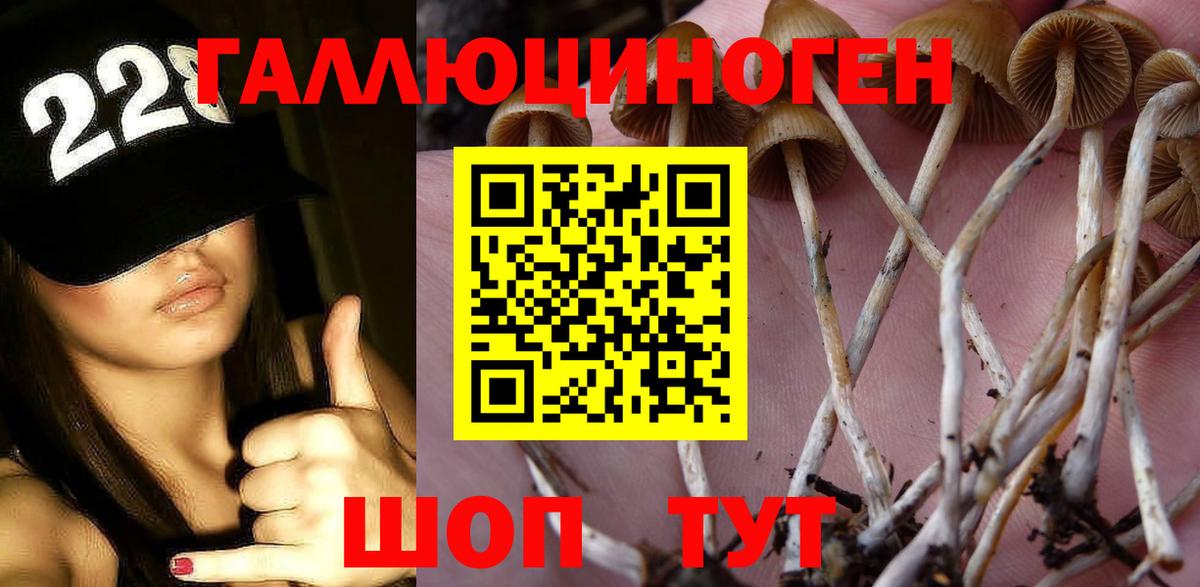 Псилоцибиновые грибы ЛСД Калуга