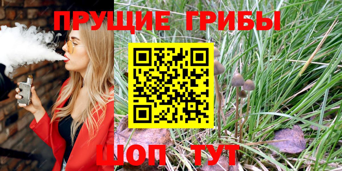 Калуга  Псилоцибиновые грибы прущие грибы  хочу   Вход с VPN 